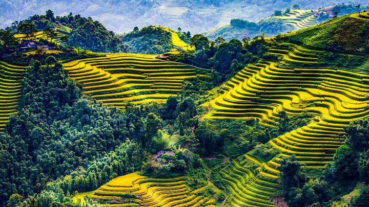 Hotspot Matrix và việc ôm con