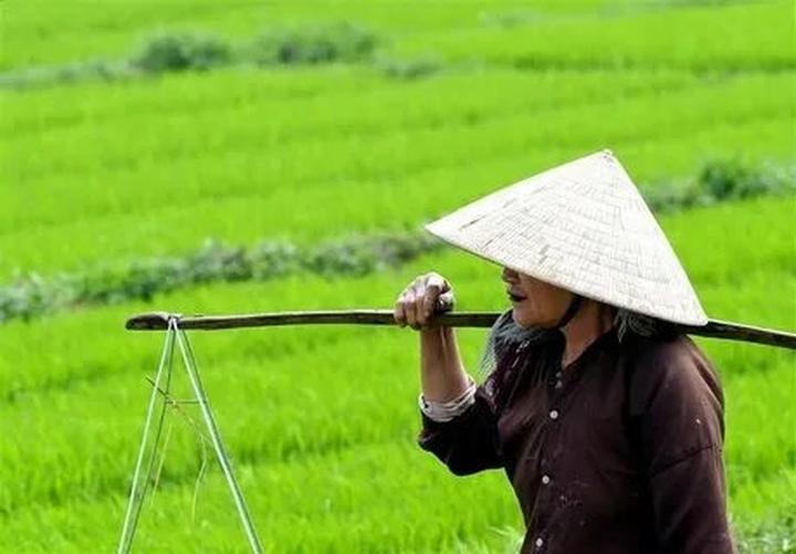 Hotspot Matrix và sự kiện A80: Sản xuất nội dung video ngắn toàn diện